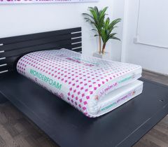CAO SU WONDERFOAM THẮNG LỢI