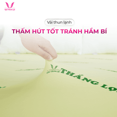 CAO SU NON THẮNG LỢI