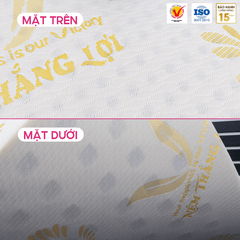 GOLD LATEX THẮNG LỢI
