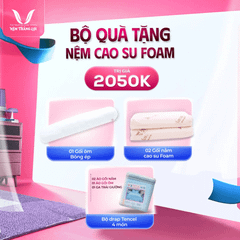 CAO SU WONDERFOAM THẮNG LỢI
