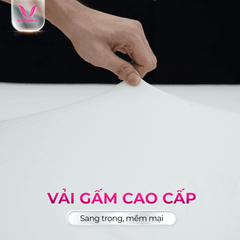 CAO SU WONDERFOAM THẮNG LỢI