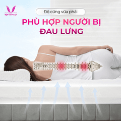CAO SU WONDERFOAM THẮNG LỢI