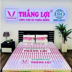 CAO SU WONDERFOAM THẮNG LỢI