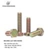 Bulong lục giác ngoài M10, bảy màu Vinahardware - BHO1060Z23