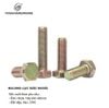 Bulong lục giác ngoài M10, bảy màu Vinahardware - BHO1060Z23
