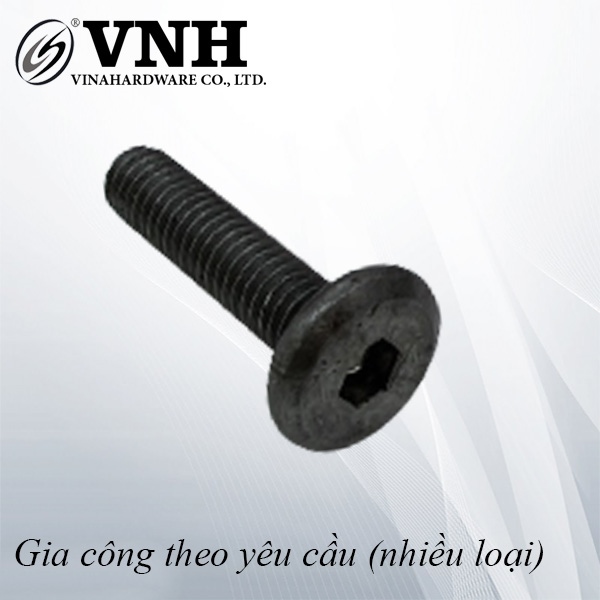 Bulong lục giác chìm M6, phôi Vinahardware - HSS625P1