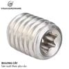 Bulong Vinahardware loại 6x10 lục giác thép không đầu - Vít trí - HSS610ZK
