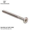 Bulong lục giác chìm M6, màu niken Vinahardware - HSS6100N