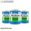 Tẩy sơn Hudson - HS001
