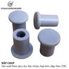 Nút bít phi 10 bằng nhựa Vinahardware màu xám WC010T