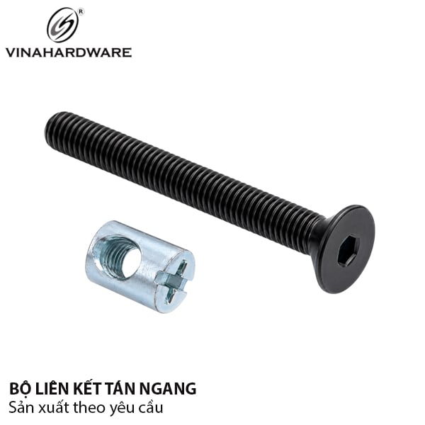 Bộ ốc liên kết (Tán ngang HDSB304 + Bulong đầu côn), màu đen Vinahardware - HDSB521