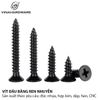 Vít đầu bằng răng nhuyễn M6, màu đen-ZS670B