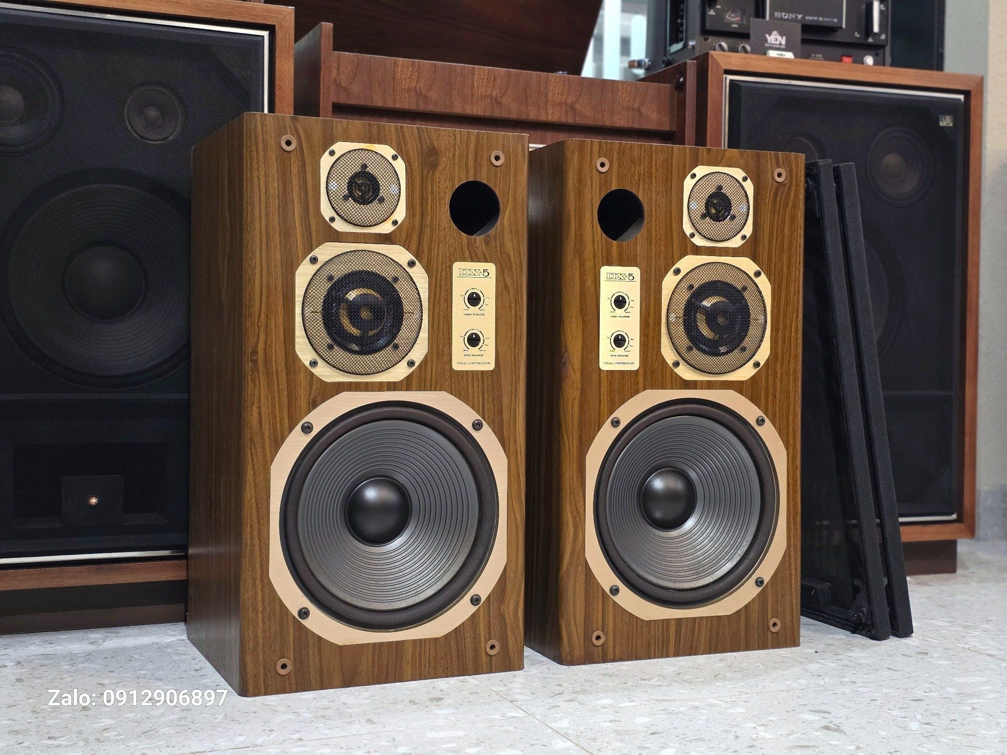 LOA NHẬT: CORAL DX 5 - VẺ ĐẸP CỦA ÂM THANH VÀ THỜI GIAN