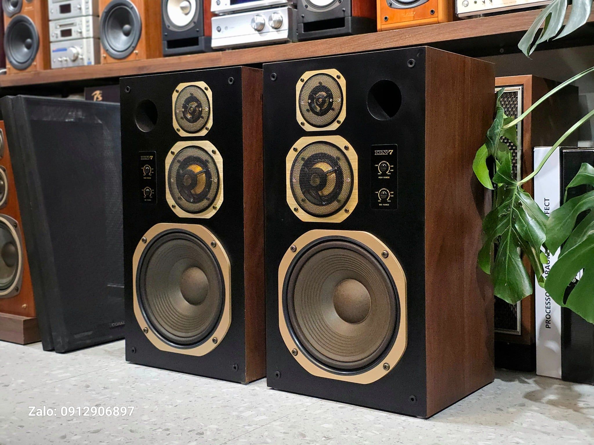 LOA NHẬT: CORAL DX7 CAO, TO, ĐEN NHƯNG KHÔNG HỀ 