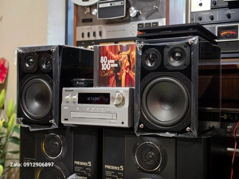  DÀN MINI NHẬT: PANASONIC PMX900 - TRÙM CUỐI CỦA HÃNG 