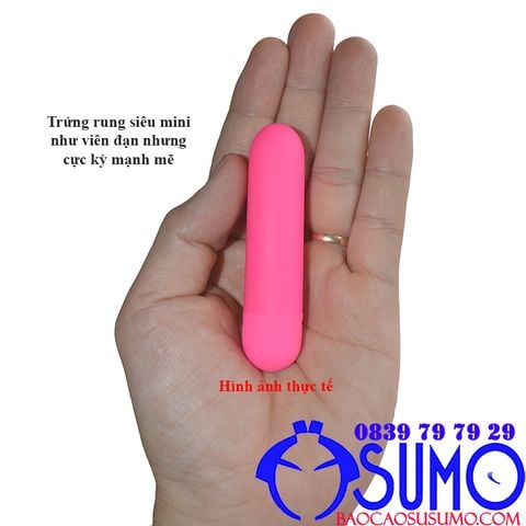 Trung rung mini Lybaile pretty love Stefan chinh hang 10 che do pin sac 