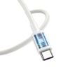 Cáp Sạc Nhanh Type C To Type C Remax RC-191
