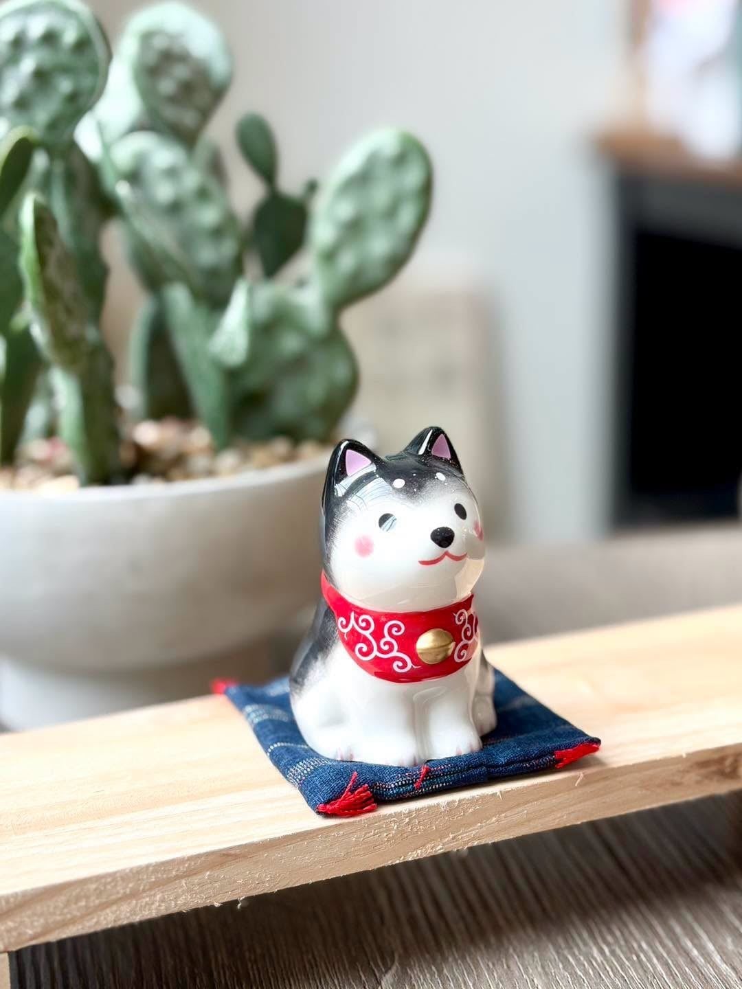 Shiba đen 