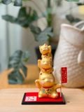  Mèo tầng may mắn 