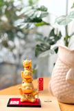  Mèo tầng may mắn 