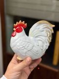  Gà trắng sứ 
