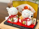  set mèo An Gia - Tài Lộc 