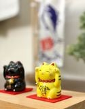  mèo vàng nhí 