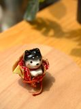  Shiba bọc vải lễ hội  9691 