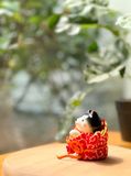  Shiba bọc vải lễ hội  9691 