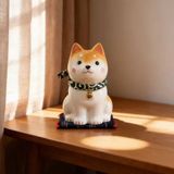  Shiba vàng chân hạ xuống 9686 