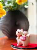  Shiba cõng mèo may mắn 