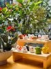 Bộ 12 giáp Japan lẻ