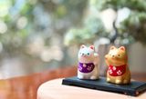  set Shiba 