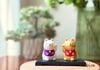 set Shiba