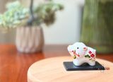  Heo ngậm tên may mắn nhỏ 
