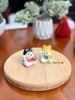  Shiba nhí dâng châu may mắn 