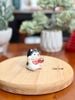  Shiba nhí dâng châu may mắn 