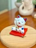  Mèo trắng xanh 2026 