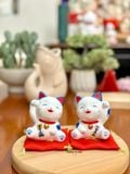  Mèo trắng xanh 2026 