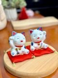 Mèo trắng xanh 2026 