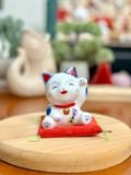  Mèo trắng xanh 2026 