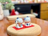  mèo nhí trắng xanh 