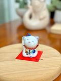  mèo nhí trắng xanh 