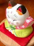  Mèo Fukusuke Sakura 