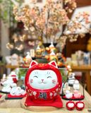  Daruma-manekineko 18cm 