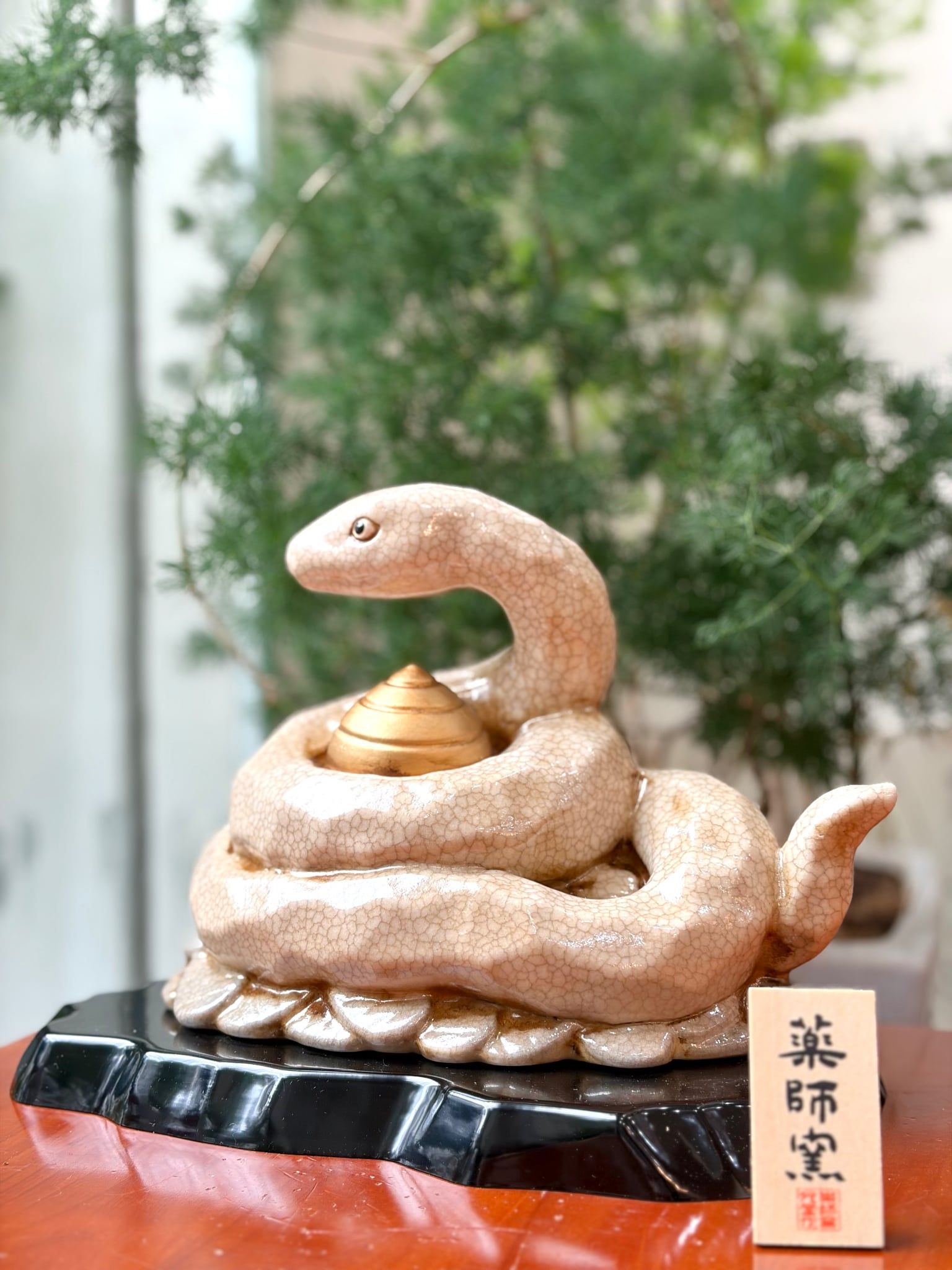  Rắn Đại 2024 