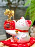  MÈO ÔM CÂY TÀI LỘC  SC53316 