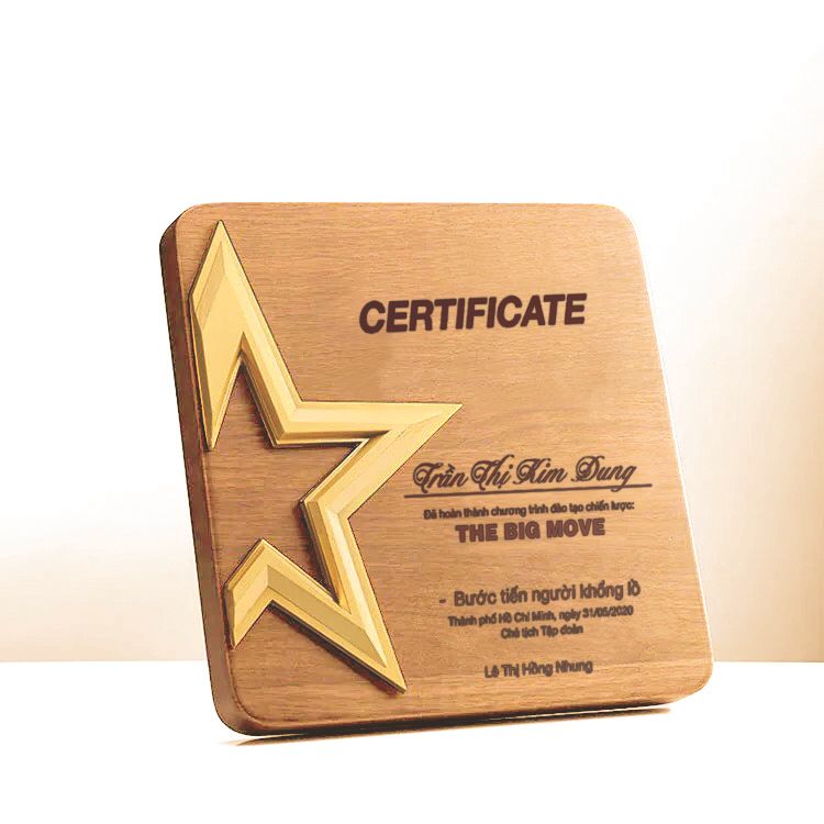 kỷ niệm chương ngôi sao