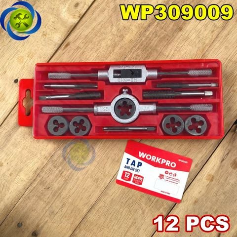 Bộ Taro 12 chi tiết M6-M12 WORKPRO WP309009