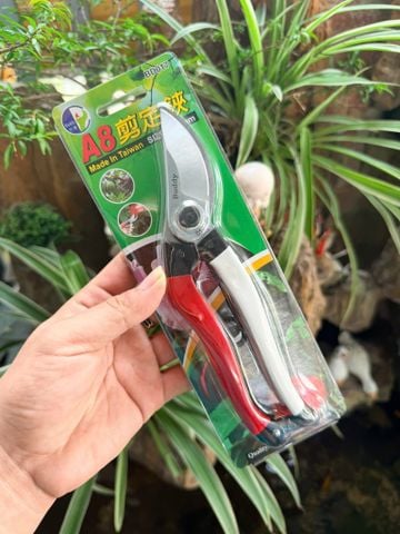 Kéo cắt cành Buddy BD017 dài 200mm Đài Loan